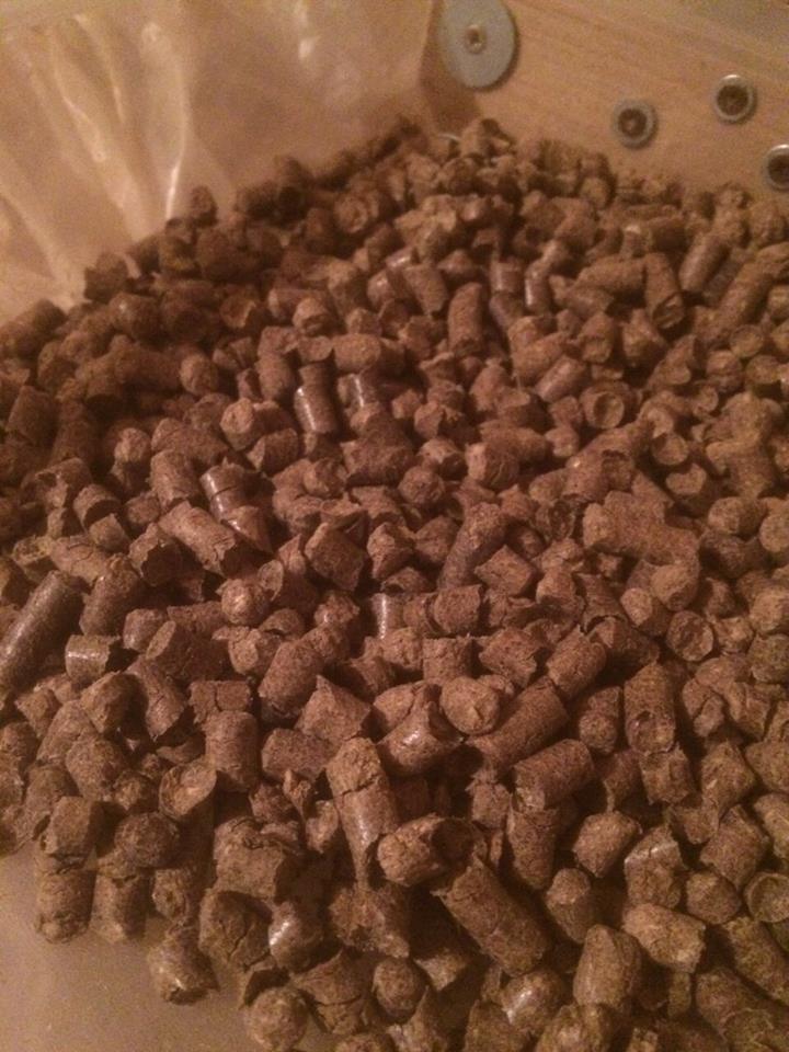 ForumEA/D/pellet piccolo.jpg